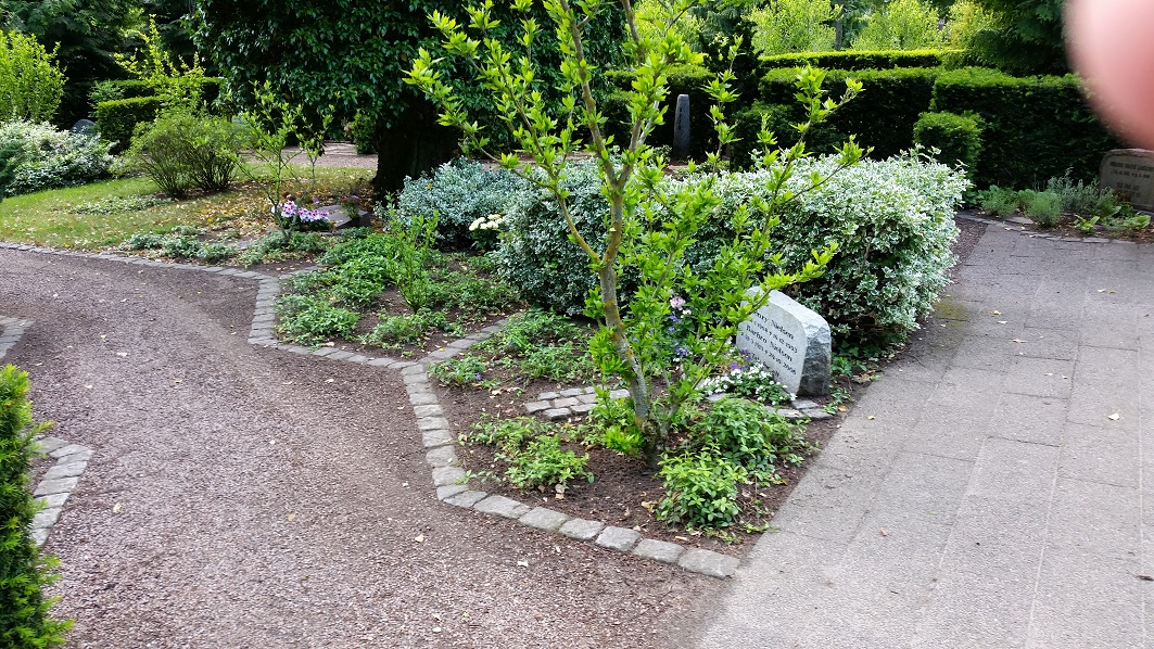 H urnefællesgrav med beplantning - Hibiscushaverne