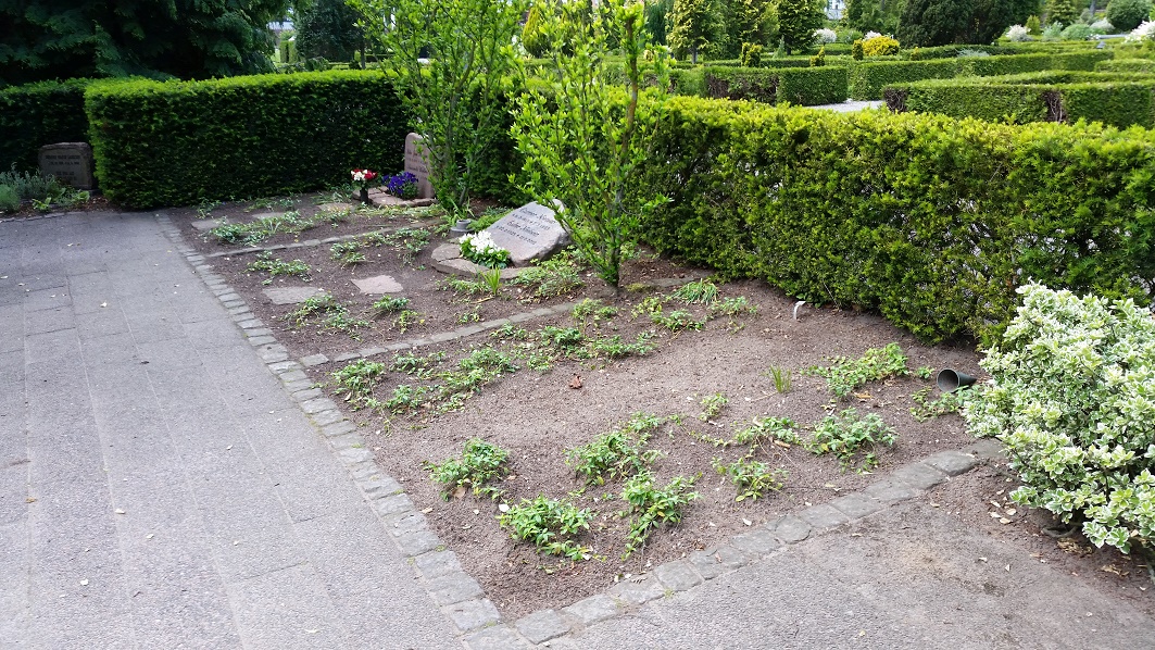 H kistefælles med beplantning - Hibiscushaverne