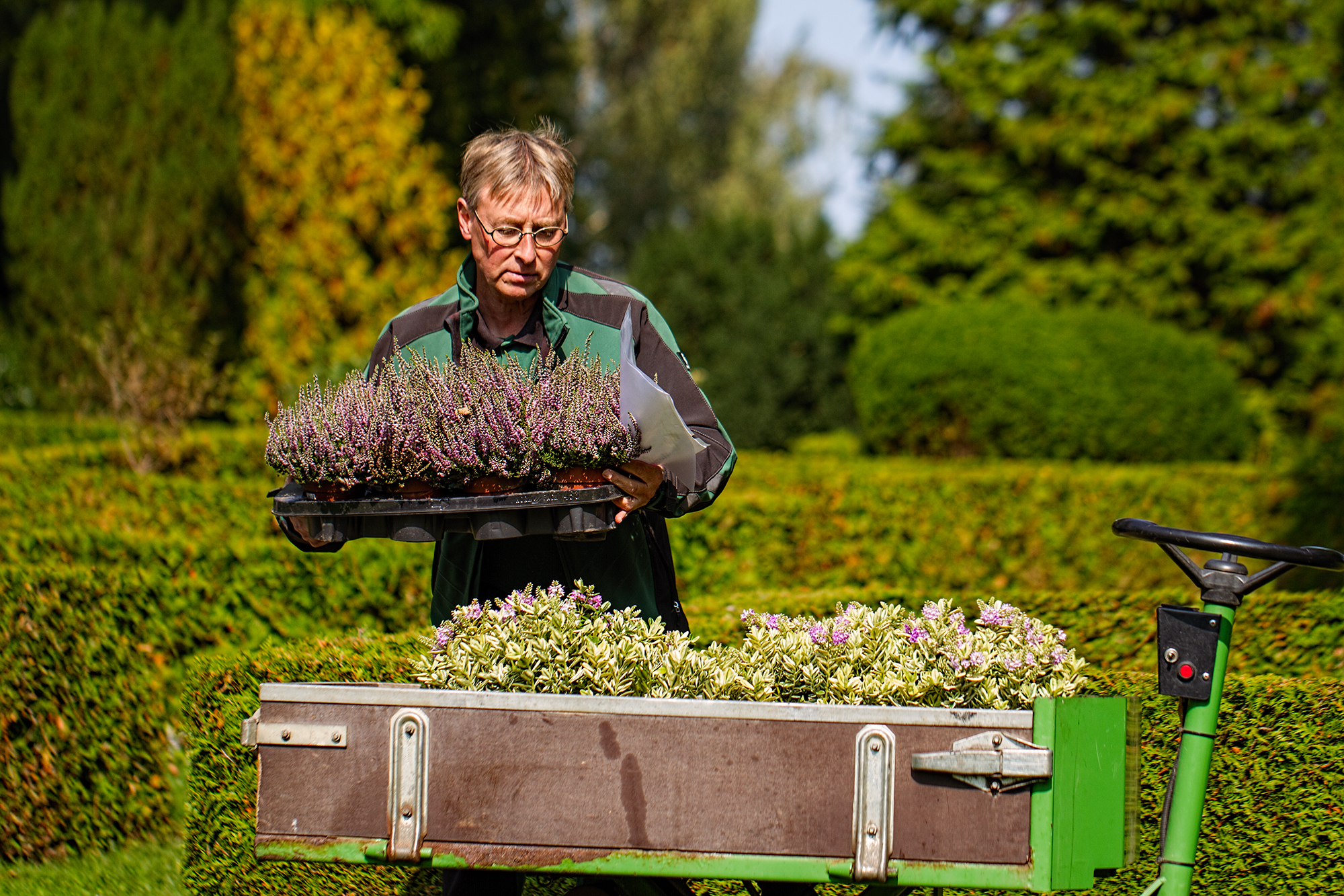 Bjarne i gang med udplantning af efterårsblomster